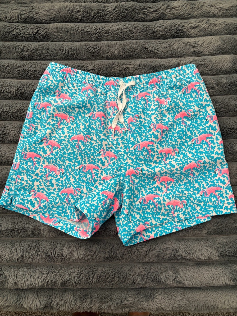 Boys Chubbies swim trunks